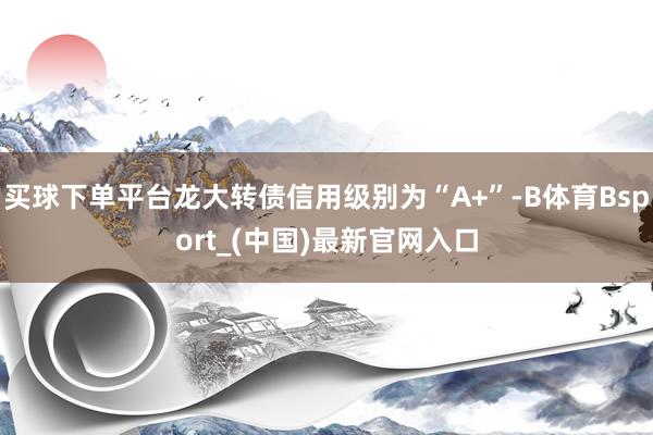 买球下单平台龙大转债信用级别为“A+”-B体育Bsport_(中国)最新官网入口