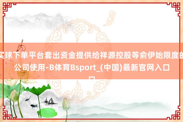 买球下单平台套出资金提供给祥源控股等俞伊始限度的公司使用-B体育Bsport_(中国)最新官网入口