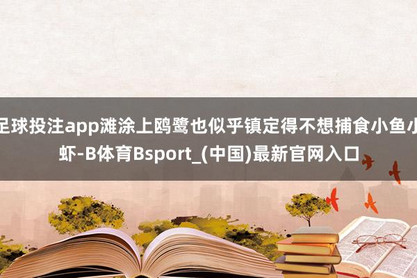 足球投注app滩涂上鸥鹭也似乎镇定得不想捕食小鱼小虾-B体育Bsport_(中国)最新官网入口