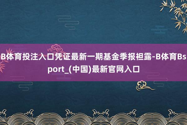B体育投注入口凭证最新一期基金季报袒露-B体育Bsport_(中国)最新官网入口