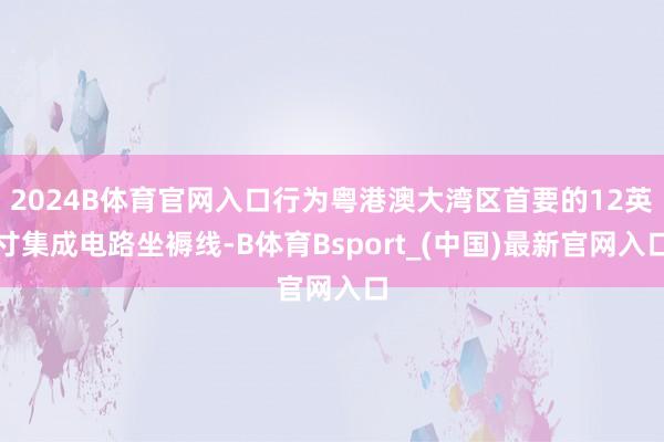 2024B体育官网入口行为粤港澳大湾区首要的12英寸集成电路坐褥线-B体育Bsport_(中国)最新官网入口
