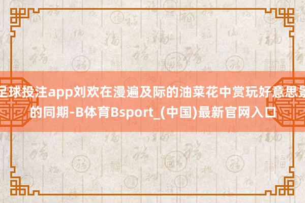足球投注app刘欢在漫遍及际的油菜花中赏玩好意思景的同期-B体育Bsport_(中国)最新官网入口