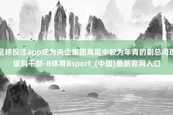 足球投注app成为央企集团高层中较为年青的副总司理级别干部-B体育Bsport_(中国)最新官网入口