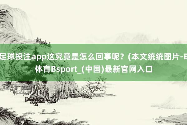足球投注app这究竟是怎么回事呢？(本文统统图片-B体育Bsport_(中国)最新官网入口