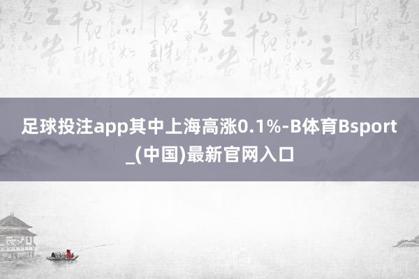 足球投注app其中上海高涨0.1%-B体育Bsport_(中国)最新官网入口