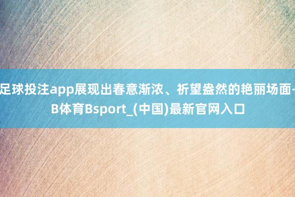 足球投注app展现出春意渐浓、祈望盎然的艳丽场面-B体育Bsport_(中国)最新官网入口