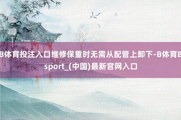 B体育投注入口维修保重时无需从配管上卸下-B体育Bsport_(中国)最新官网入口