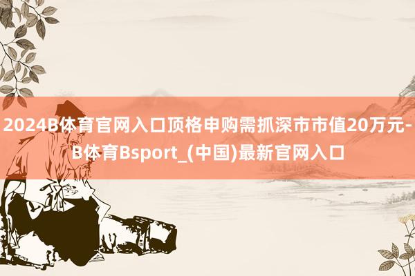 2024B体育官网入口顶格申购需抓深市市值20万元-B体育Bsport_(中国)最新官网入口