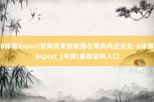 B体育Bsport官网而果胶散播在果肉内近皮处-B体育Bsport_(中国)最新官网入口