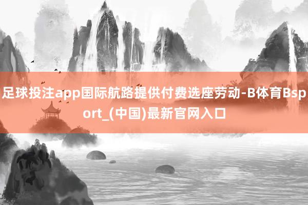 足球投注app国际航路提供付费选座劳动-B体育Bsport_(中国)最新官网入口