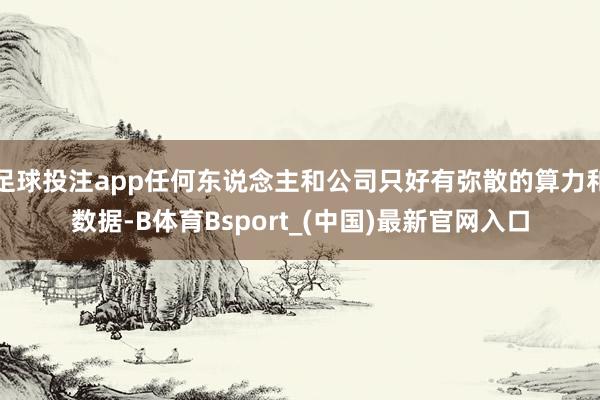 足球投注app任何东说念主和公司只好有弥散的算力和数据-B体育Bsport_(中国)最新官网入口