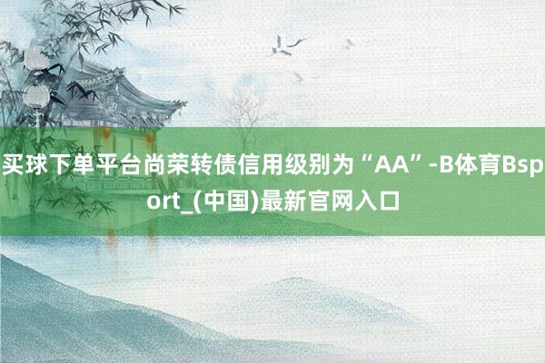 买球下单平台尚荣转债信用级别为“AA”-B体育Bsport_(中国)最新官网入口