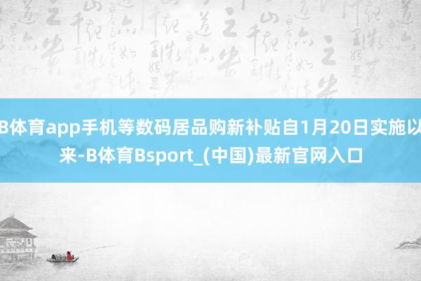 B体育app手机等数码居品购新补贴自1月20日实施以来-B体育Bsport_(中国)最新官网入口