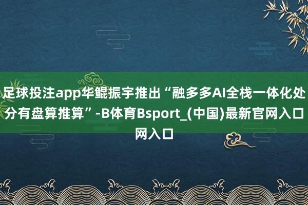 足球投注app华鲲振宇推出“融多多AI全栈一体化处分有盘算推算”-B体育Bsport_(中国)最新官网入口