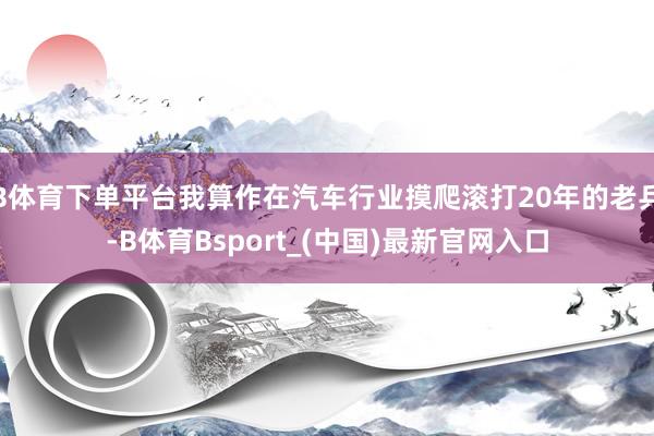 B体育下单平台我算作在汽车行业摸爬滚打20年的老兵-B体育Bsport_(中国)最新官网入口