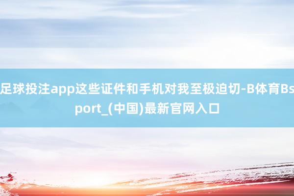足球投注app这些证件和手机对我至极迫切-B体育Bsport_(中国)最新官网入口