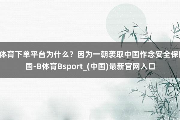 B体育下单平台为什么？因为一朝袭取中国作念安全保险国-B体育Bsport_(中国)最新官网入口