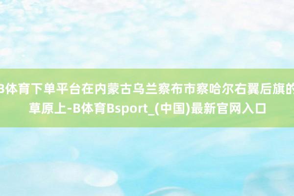 B体育下单平台在内蒙古乌兰察布市察哈尔右翼后旗的草原上-B体育Bsport_(中国)最新官网入口
