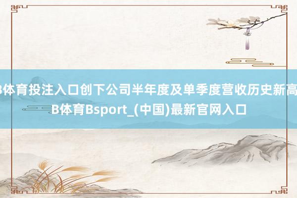 B体育投注入口创下公司半年度及单季度营收历史新高-B体育Bsport_(中国)最新官网入口
