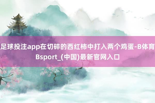足球投注app在切碎的西红柿中打入两个鸡蛋-B体育Bsport_(中国)最新官网入口