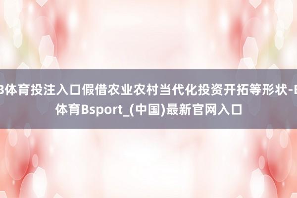 B体育投注入口假借农业农村当代化投资开拓等形状-B体育Bsport_(中国)最新官网入口