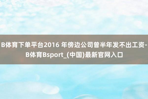 B体育下单平台2016 年傍边公司曾半年发不出工资-B体育Bsport_(中国)最新官网入口