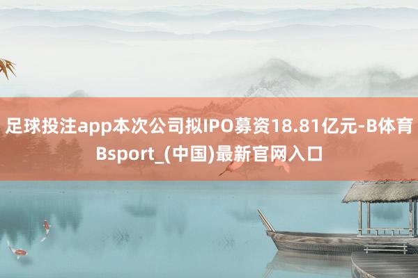 足球投注app本次公司拟IPO募资18.81亿元-B体育Bsport_(中国)最新官网入口
