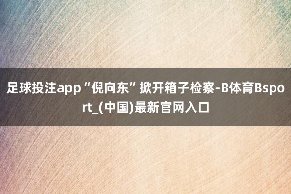 足球投注app“倪向东”掀开箱子检察-B体育Bsport_(中国)最新官网入口