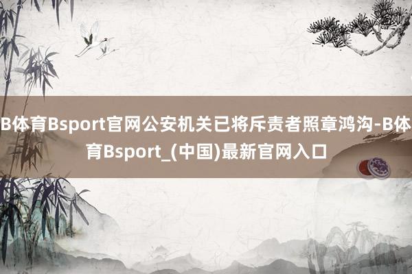 B体育Bsport官网公安机关已将斥责者照章鸿沟-B体育Bsport_(中国)最新官网入口
