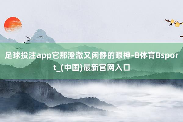 足球投注app它那澄澈又闲静的眼神-B体育Bsport_(中国)最新官网入口