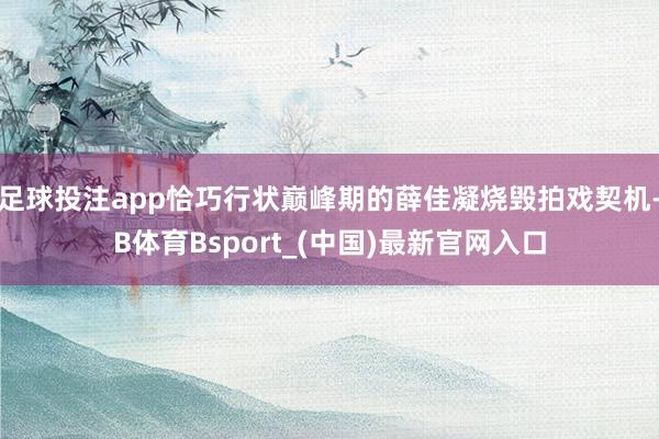 足球投注app恰巧行状巅峰期的薛佳凝烧毁拍戏契机-B体育Bsport_(中国)最新官网入口