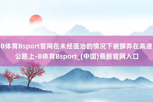 B体育Bsport官网在未经医治的情况下被摒弃在高速公路上-B体育Bsport_(中国)最新官网入口