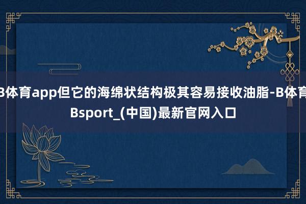 B体育app但它的海绵状结构极其容易接收油脂-B体育Bsport_(中国)最新官网入口