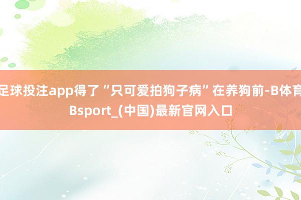 足球投注app得了“只可爱拍狗子病”在养狗前-B体育Bsport_(中国)最新官网入口