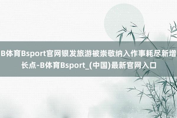 B体育Bsport官网银发旅游被崇敬纳入作事耗尽新增长点-B体育Bsport_(中国)最新官网入口