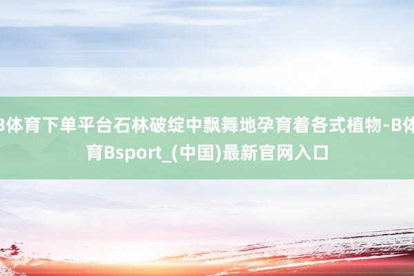 B体育下单平台石林破绽中飘舞地孕育着各式植物-B体育Bsport_(中国)最新官网入口
