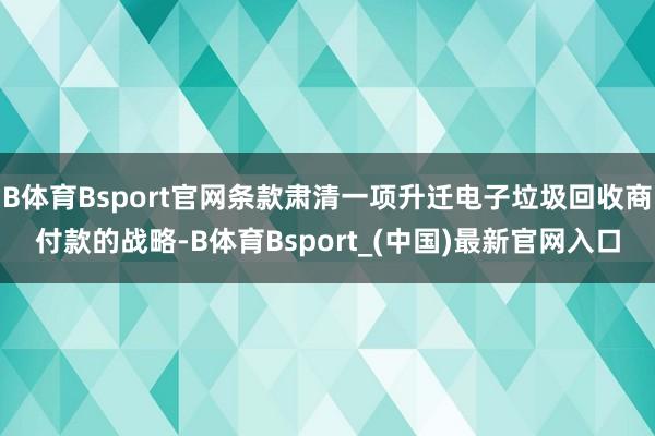 B体育Bsport官网条款肃清一项升迁电子垃圾回收商付款的战略-B体育Bsport_(中国)最新官网入口