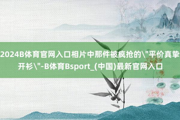 2024B体育官网入口相片中那件被疯抢的