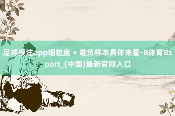 足球投注app细粒度 + 难负样本具体来看-B体育Bsport_(中国)最新官网入口