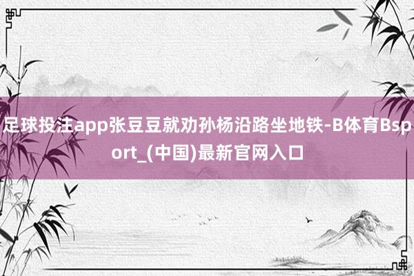 足球投注app张豆豆就劝孙杨沿路坐地铁-B体育Bsport_(中国)最新官网入口