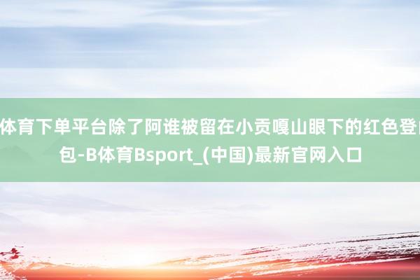 B体育下单平台除了阿谁被留在小贡嘎山眼下的红色登山包-B体育Bsport_(中国)最新官网入口