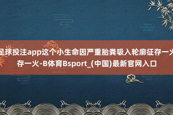 足球投注app这个小生命因严重胎粪吸入轮廓征存一火存一火-B体育Bsport_(中国)最新官网入口