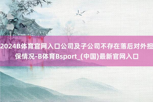 2024B体育官网入口公司及子公司不存在落后对外担保情况-B体育Bsport_(中国)最新官网入口