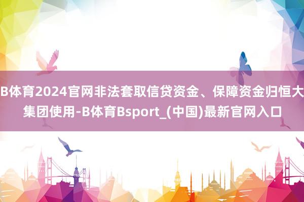 B体育2024官网非法套取信贷资金、保障资金归恒大集团使用-B体育Bsport_(中国)最新官网入口