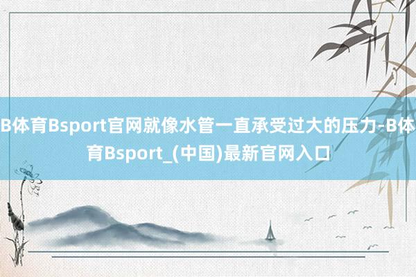 B体育Bsport官网就像水管一直承受过大的压力-B体育Bsport_(中国)最新官网入口