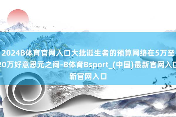 2024B体育官网入口大批诞生者的预算网络在5万至20万好意思元之间-B体育Bsport_(中国)最新官网入口