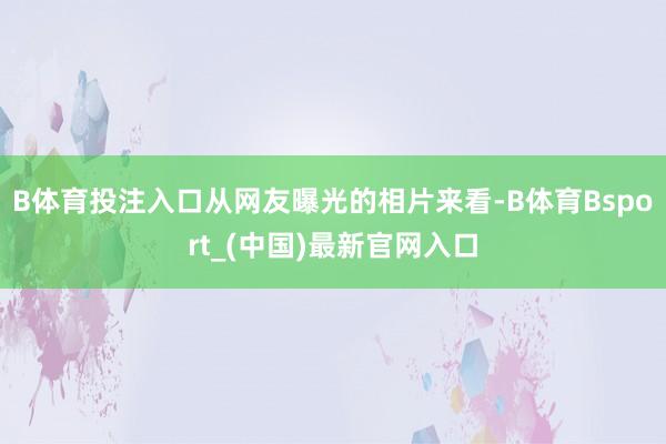B体育投注入口从网友曝光的相片来看-B体育Bsport_(中国)最新官网入口