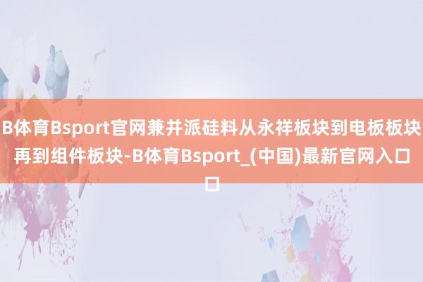 B体育Bsport官网兼并派硅料从永祥板块到电板板块再到组件板块-B体育Bsport_(中国)最新官网入口