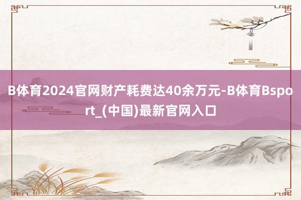 B体育2024官网财产耗费达40余万元-B体育Bsport_(中国)最新官网入口