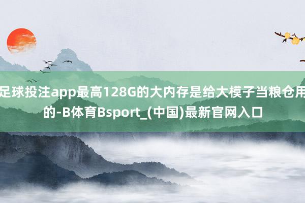 足球投注app最高128G的大内存是给大模子当粮仓用的-B体育Bsport_(中国)最新官网入口